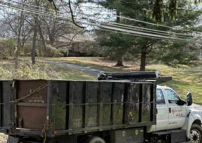 Tree Service - Ameri Tree Experts