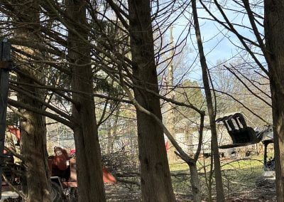 Tree Service - Ameri Tree Experts