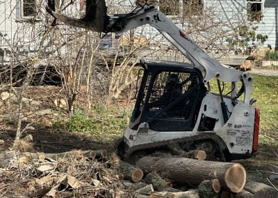 Professional Tree Service Equipment- Ameri Tree Experts