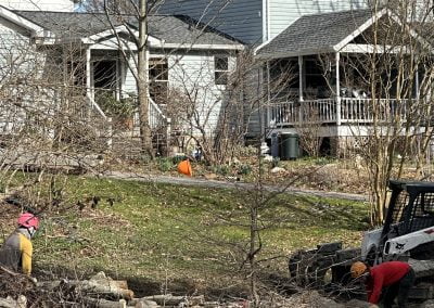 Baltimore Tree Service Team - Ameri Tree Experts