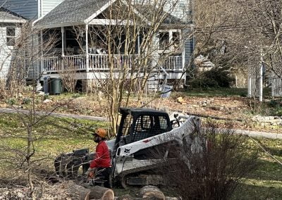 Expert Tree Service Equipment - Ameri Tree Experts