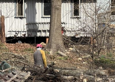 Baltimore Tree Removal - Ameri Tree Experts