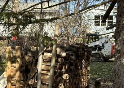 Tree Service for Homes in Maryland- Ameri Tree Experts