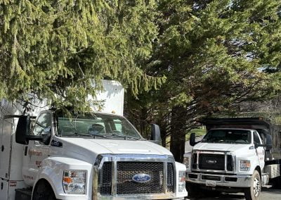 Tree Service Trucks- Ameri Tree Experts