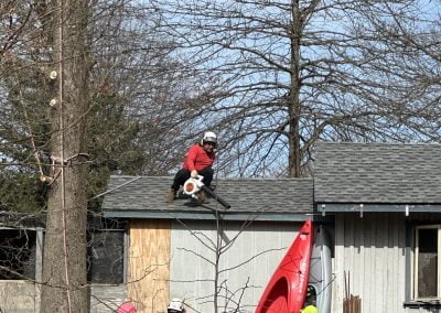 Tree Service Team- Ameri Tree Experts