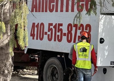 Tree Service Team - Ameri Tree Experts