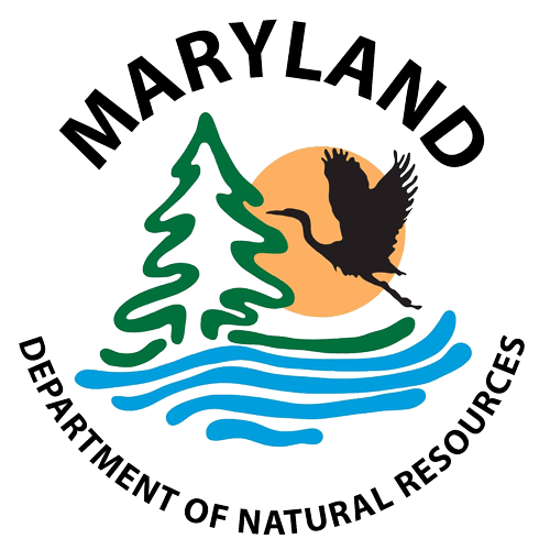 MD-DNR-Logo Maryland Department of Natural Resources logo with a tree, heron, sun, and blue water.