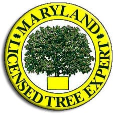 MD Licensed Tree Expert Yellow badge with a green tree and the words "Maryland Licensed Tree Expert" around the edge.