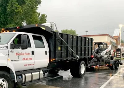 Tree Service - Ameri Tree Experts