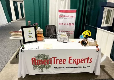 Tree Service - Ameri Tree Experts