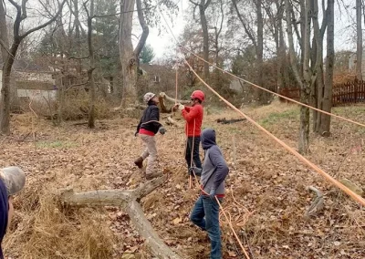 Tree Service - Ameri Tree Experts