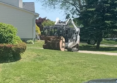 Tree Service - Ameri Tree Experts