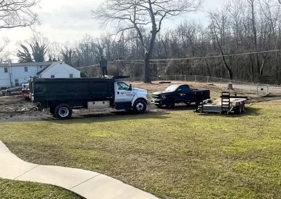 Tree Service - Ameri Tree Experts