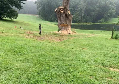 Tree Service - Ameri Tree Experts