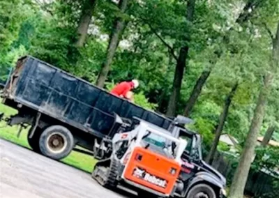 Tree Service - Ameri Tree Experts