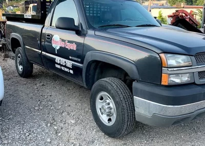 Tree Service - Ameri Tree Experts