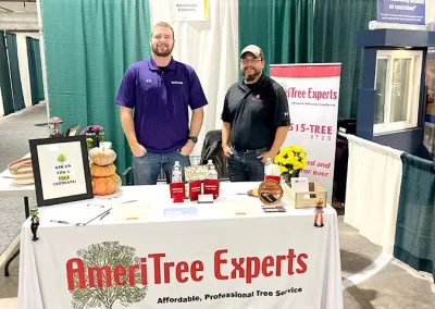 Tree Service - Ameri Tree Experts